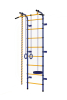 Детский спортивный комплекс ДСК "Пионер-с1н" (пристеночный) сине-желтый