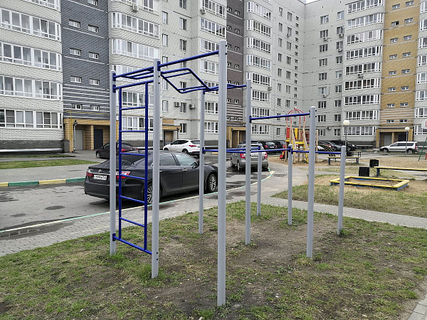 картинка Площадка Пионер Workout №2 от магазина Лазалка