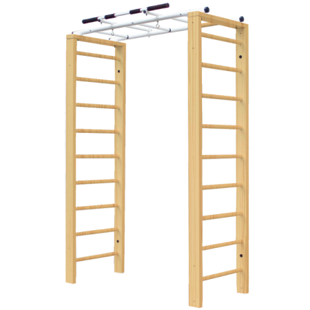 Домашний комплекс с рукоходом Luca