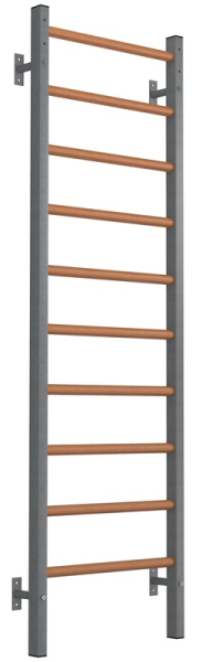 Шведская стенка EffectSport комбинированная ГИБРИД антик-серебро